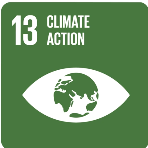 SDG 13