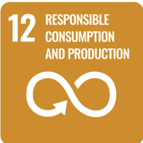 SDG 12